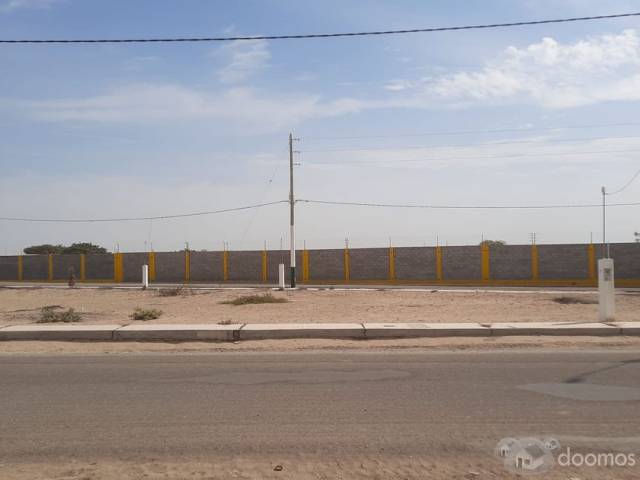 VENTA TERRENO 500m2 - PIURA - LOS EJIDOS 991892640