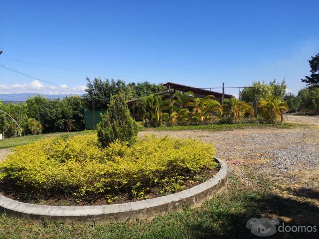 VENTA DE TERRENO RURAL EN SECTOR CHUINA - DISTRITO DE MORALES - TARAPOTO