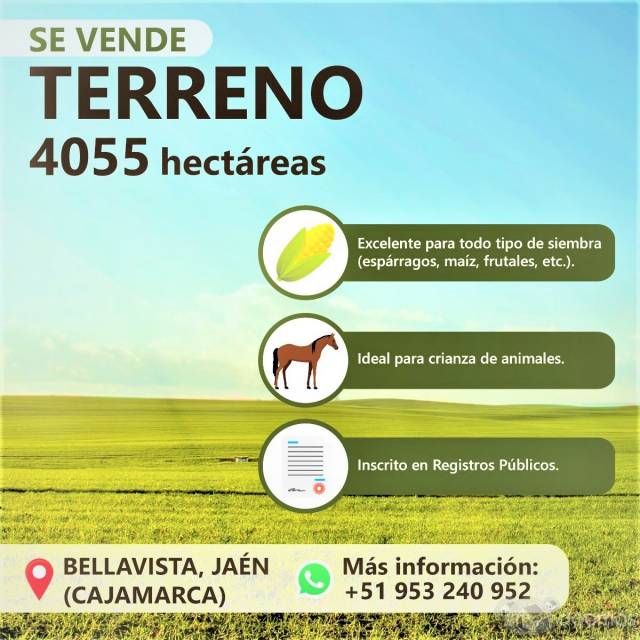 SE VENDE TERRENO. ÁREA - 4055 HECTAREAS - CAJAMARCA - JAEN