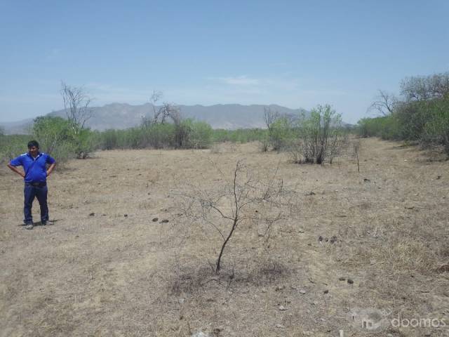 TERRENO PARA AGRICULTURA