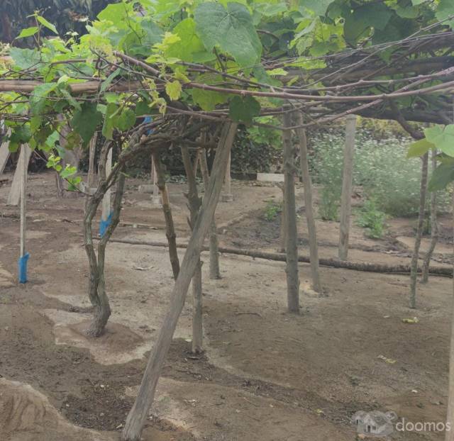 Terreno en fundo 