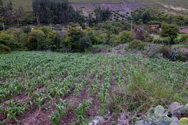 Terreno de 4890 m2 en el Valle Sagrado de los Incas. Yanahuara - Urubamba. BAJO DE PRECIO!