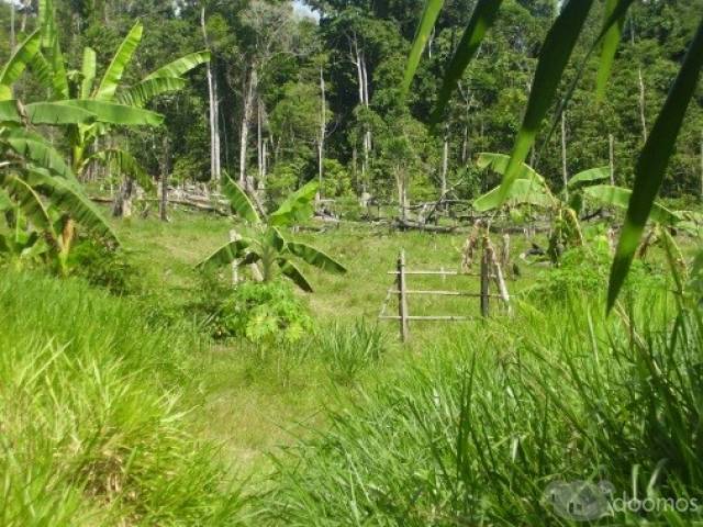 ALQUILO TERRENO PARA SIEMBRA