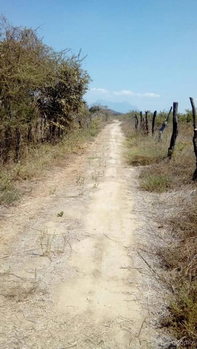 VENTA DE TERRENO AGRICOLA