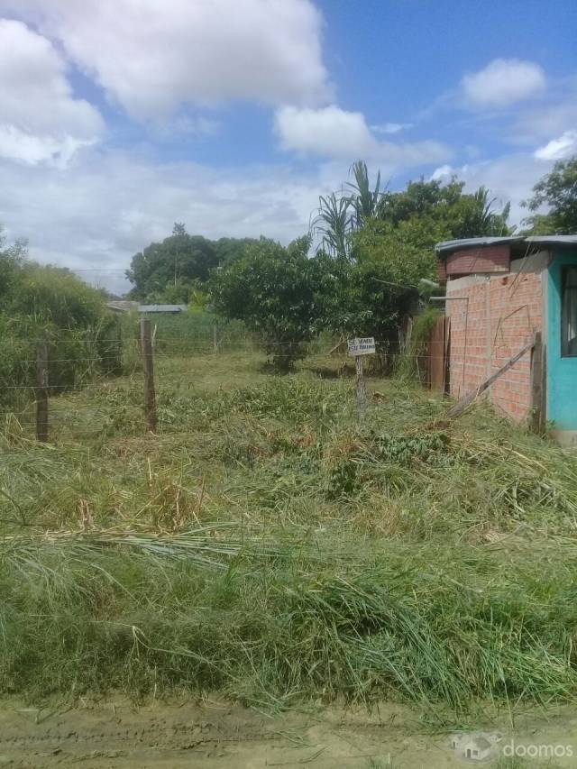 vendo terreno la planicie morales tarapoto