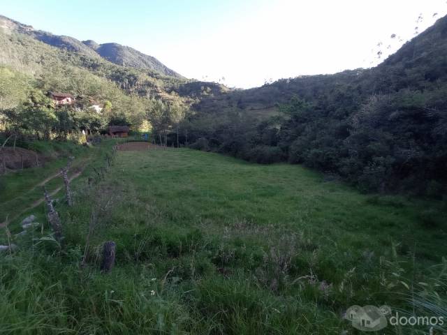 Se vende un Hermoso Terreno ubicado frente al hotel Puyu Wasi, Apto para sembrar cualquier tipo de ortalizas, llamame o escribeme al WhatsApp: 943 985 362