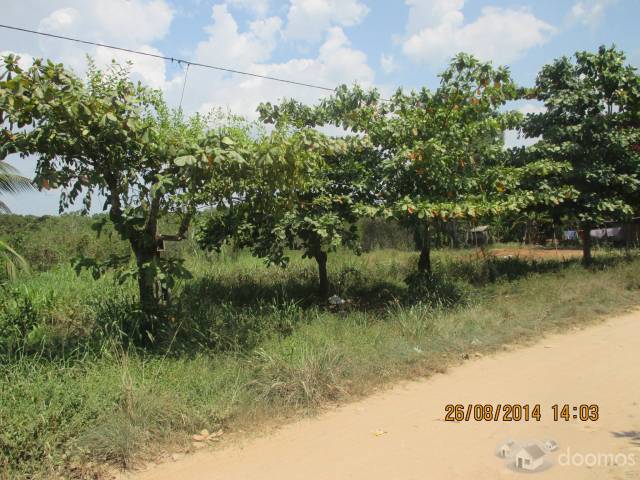 Terreno con titulo de  800 m2 a 1 cuadra de la Plaza de Tushmo en Yarinacocha - S/. 18,000 - Fono 949927747