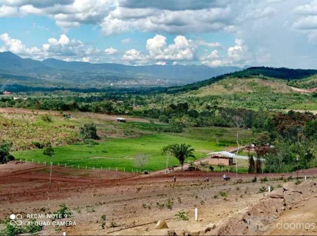 Últimos lotes en Tarapoto!!!