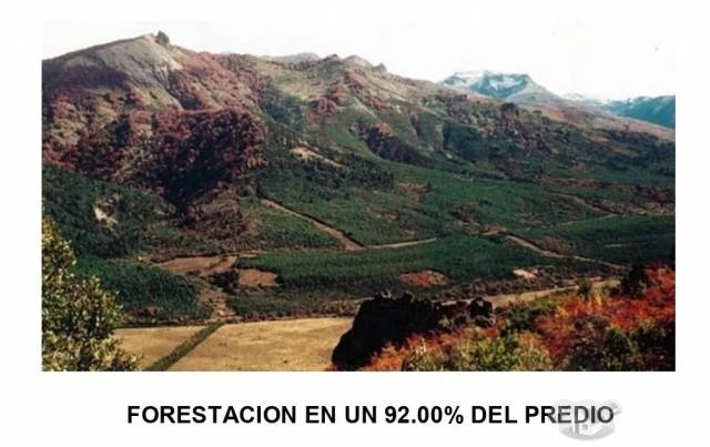 OCASIÓN VENDO TERRENO EN ANCASH 1.827.00 HA