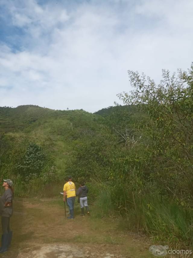 Precioso terreno de 7 ha en Quillazu Oxapampa