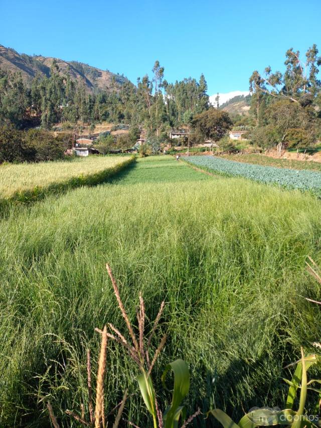 OCASIÓN VENDO TERRENO CARHUAZ ACOPAMPA