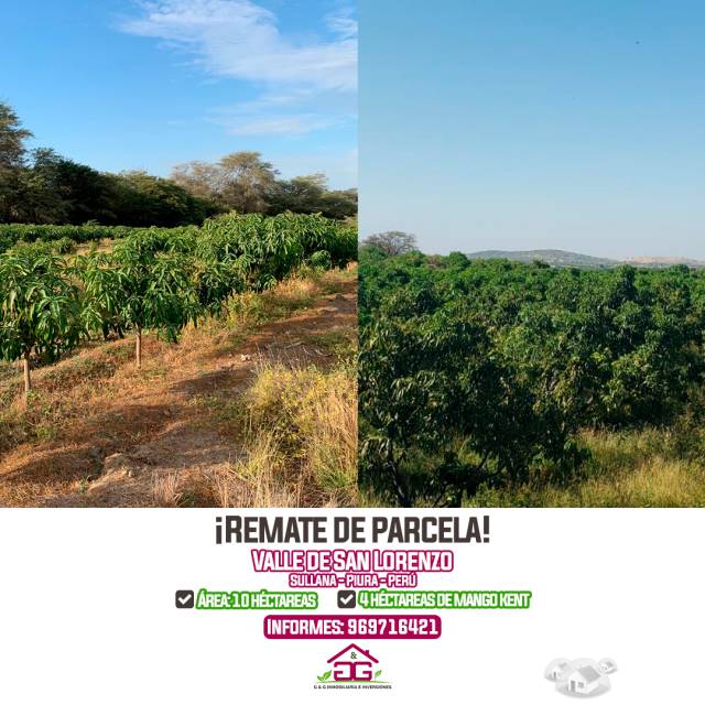 ÚLTIMOS DÍAS DE REMATE