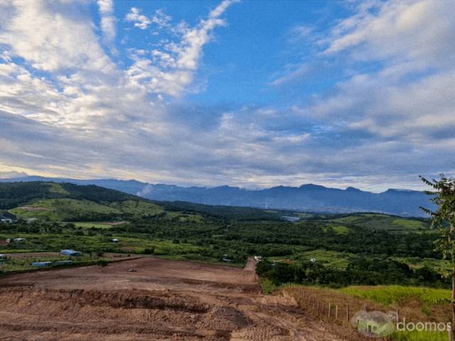 TERRENO EN VENTA TARAPOTO A 15 MINUTOS DE AEROPUERTO