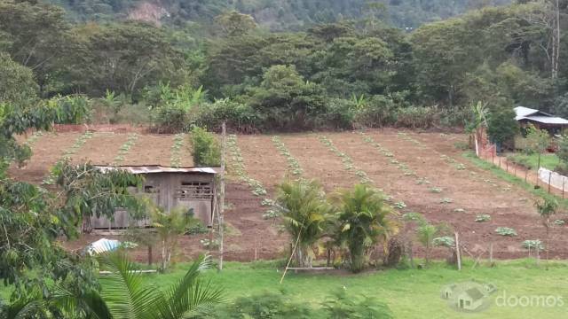 VENTA DE TERRENO PARA CASA DE CAMPO EN OXAPAMPA