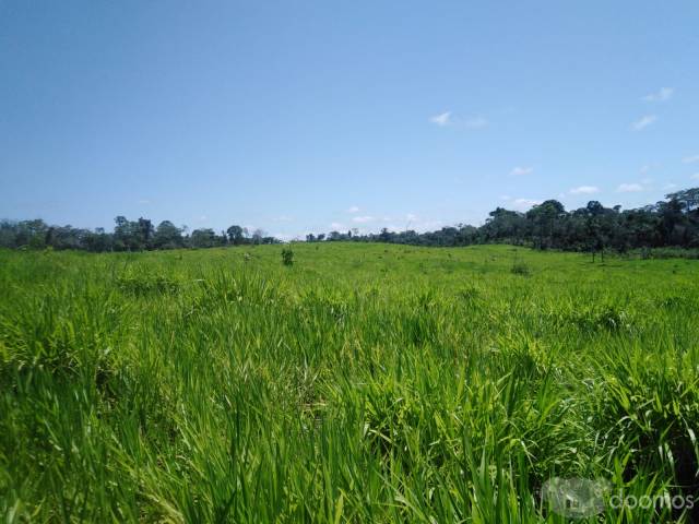 VENTA DE TERRENO AGRICOLA - CAMPO VERDE - PUCALLPA