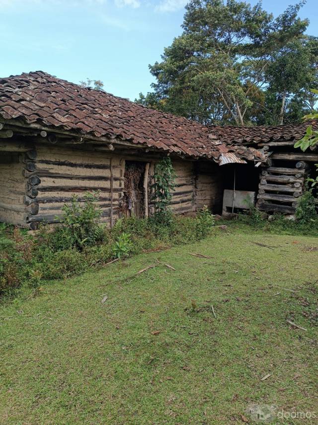 DE OCASIÓN! TERRENO DE 40,000 M2 EN VENTA EN AMAZONAS, PERÚ