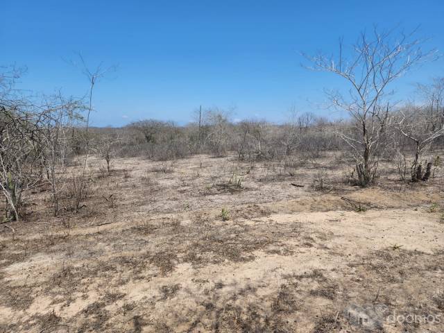 Ocasión Vendo Terreno Agrícola