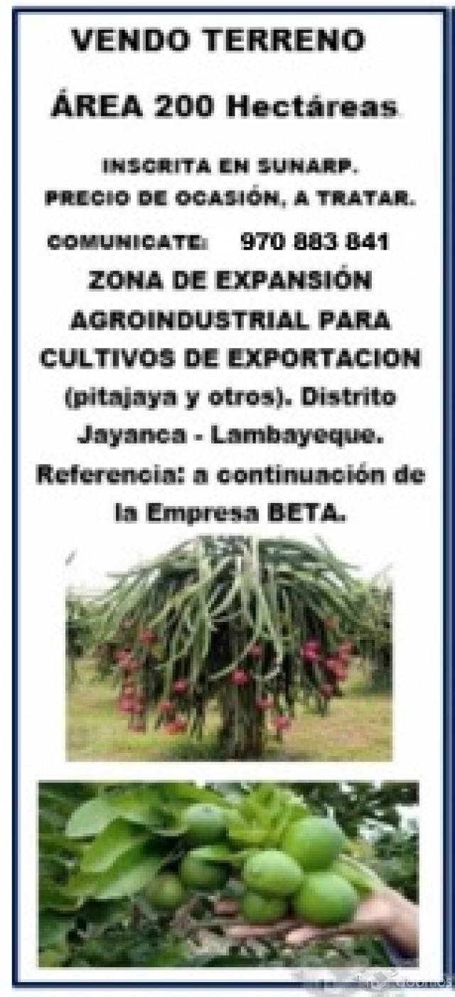 VENDO TERRENO ZONA DE EXPANSIÓN AGROINDUSTRIAL PARA CULTIVO DE EXPORTACIÓN PITAJAYA  DISTRITO JAYANCA LAMBAYEQUE