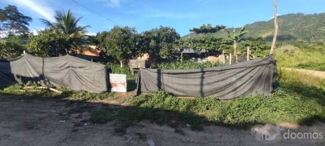 PRECIO NEGOCIABLE - Venta de 2 lotes POR OCASIÓN - Unión Capiri - Rio Negro - Satipo