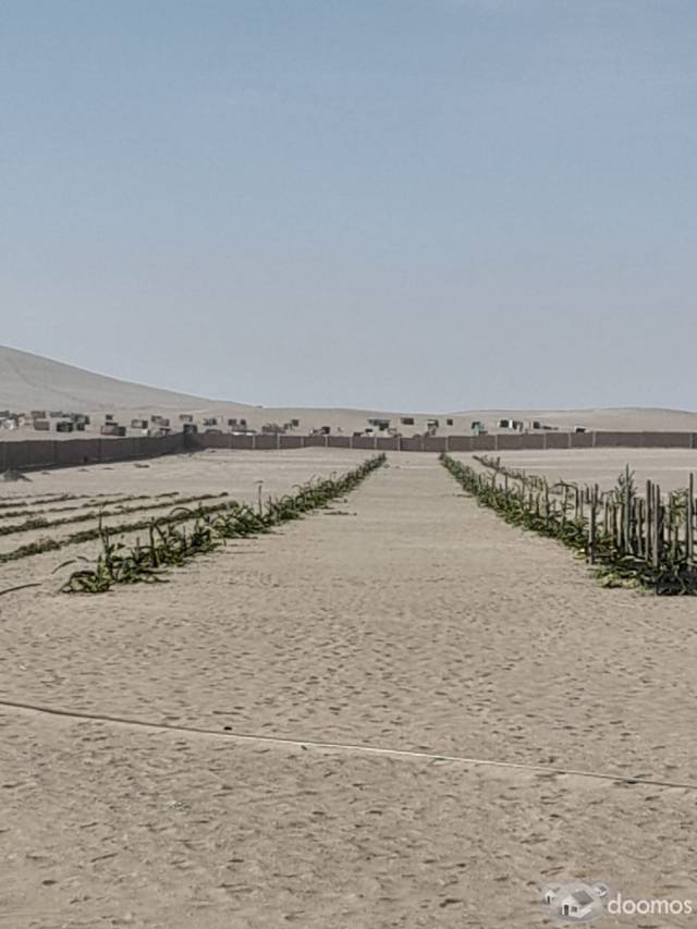 Venta de Terreno ideal para Almacenes cerca al Mega Puerto de Chancay