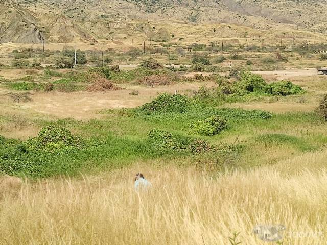 vendo terreno ubicado en el ñuro los organos