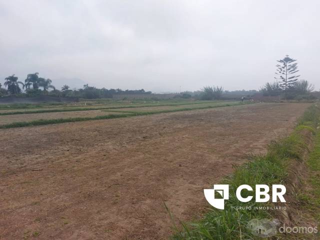 VENTA TERRENO ZONA RURAL EN LURÍN