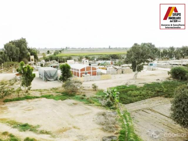 VENTA DE TERRENO 13.68 HA. EN SAN CLEMENTE- PISCO, CHINCHA