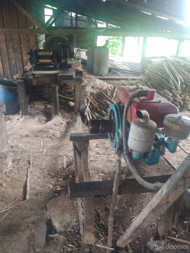 Venta de terreno 388 Has