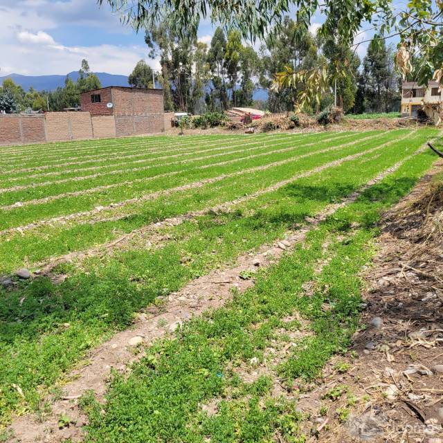 VENTA DE TERRENO SAN AGUSTIN DE CAJAS