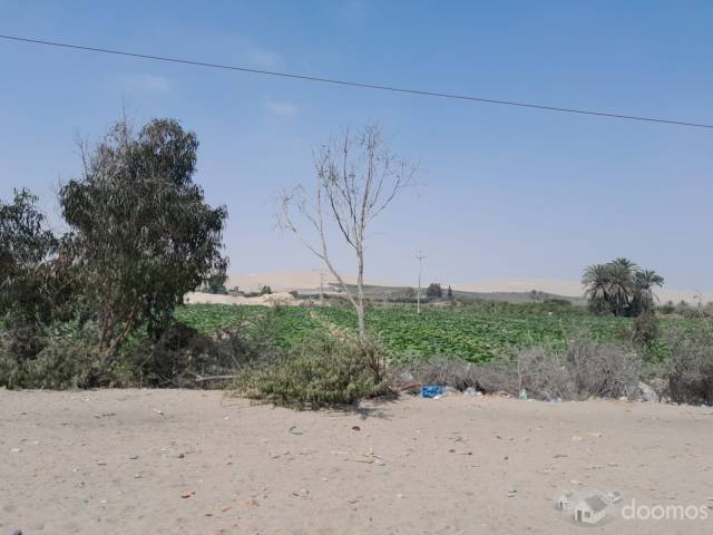 SE VENDE LOTES PARA ALMACENES , DEPOSITOS , INDUSTRIAS MEDIANAS CON FRENTE A LA CARRETERA PANAMERICANA SUR CERCA AL PUERTO Y AEROPUERTO DE PISCO