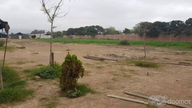 Venta de Terreno Rural de 22,703 m2 en Zona tranquila de Casica, Pachacamac