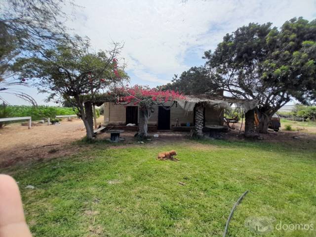 SE VENDE 16 HECTAREAS DIVIDIDO EN 3 LOTES - SAN ANDRES