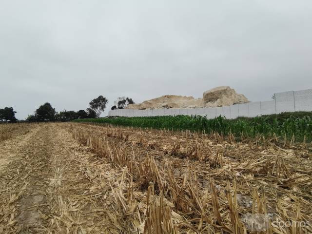Terreno agricola en Pisco 8 hectárea aprox