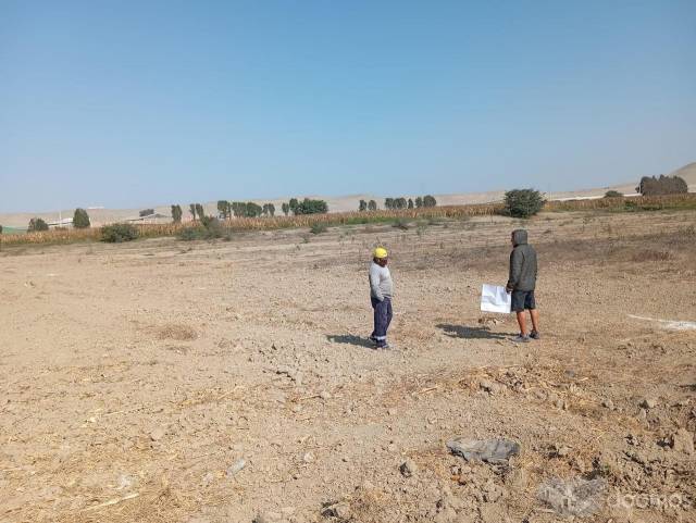 SE VENDE 14 hectáreas de  TERRENO AGRÍCOLA