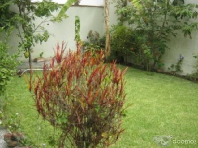 Casa 2 Pìsos Calle Francisco Zurbaran Urb. San Borja – Lima