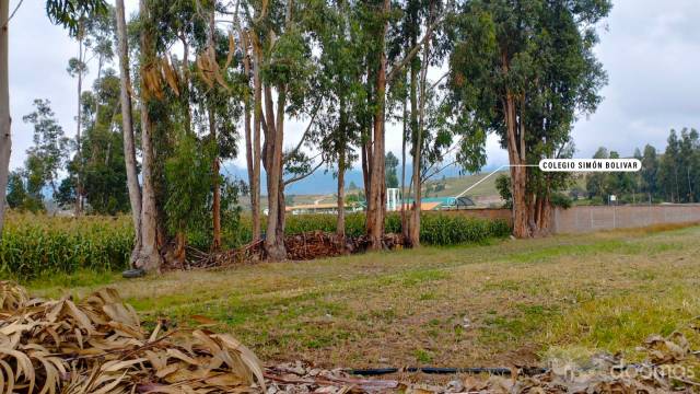Terreno 853 m2 en 3 de Diciembre cerca al Puente Comuneros, Colegio Simón Bolivar y la Av. Progreso