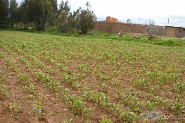 VENTA DE LOTES DE TERRENOS