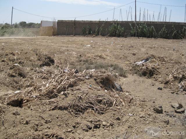 Vendo Terreno Campo Monsefu - Chiclayo