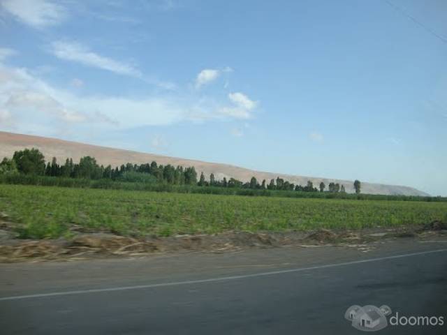 Vendo terrenos en Cocachacra - Arequipa