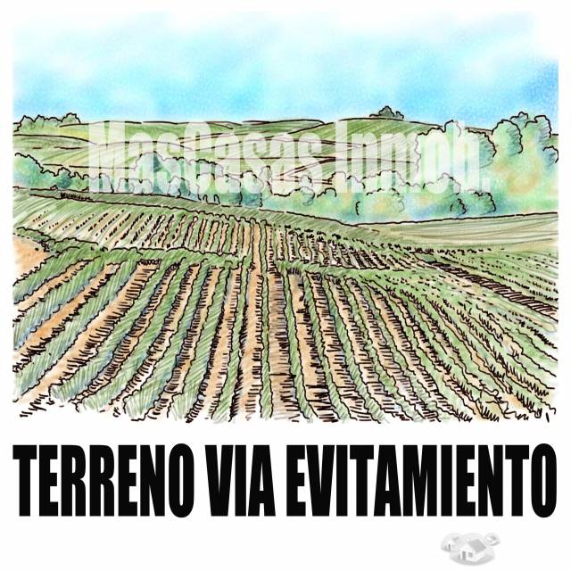 Terreno via evitamiento 15000 m2