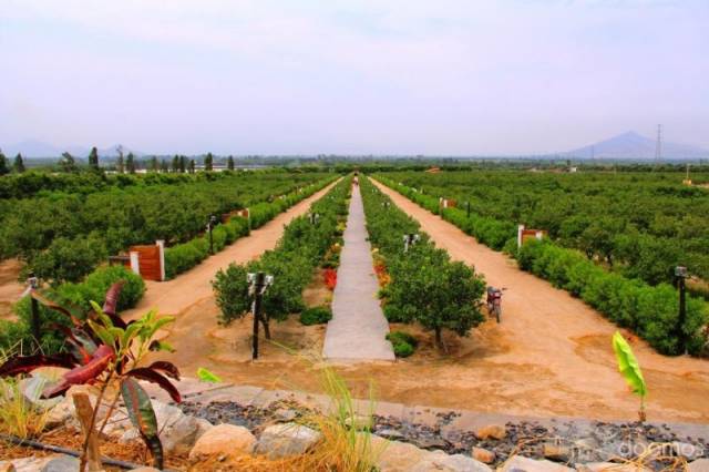 Venta de Terreno en Huaral