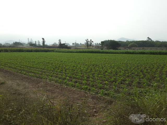 Venta de Terreno en Quebrada Verde Pachacamac