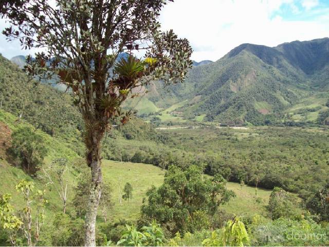 TERRENOS EN VENTA EN OXAPAMPA