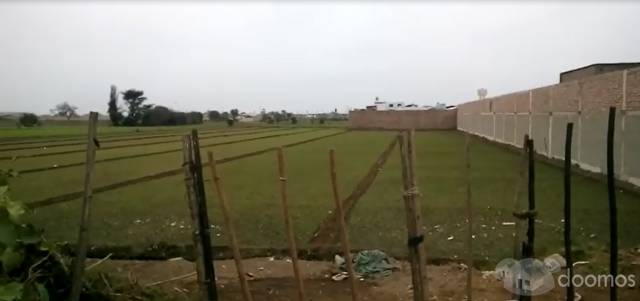 Ocasión: Remato terreno en Lurín 8,500 m2