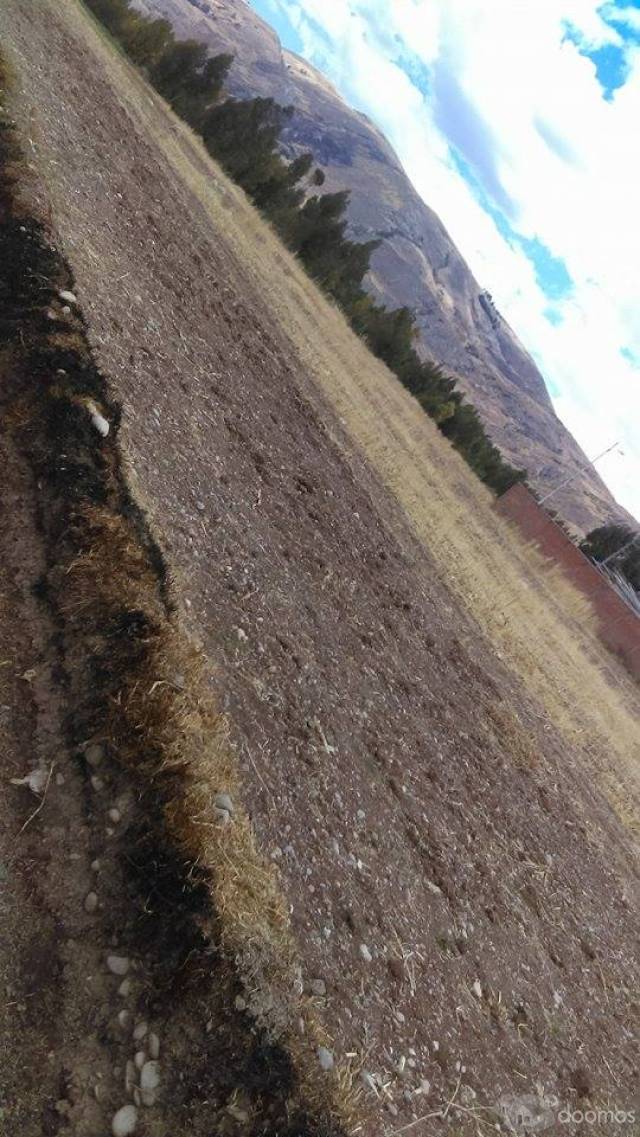 terreno temporal pillcopampa