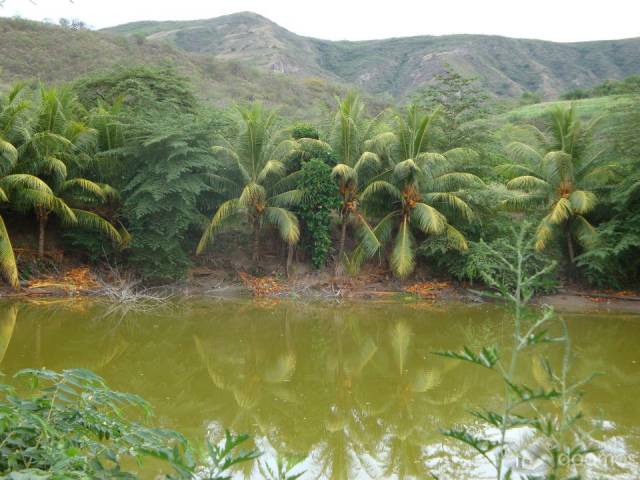 Vendo 4 Hectáres de Terreno apto para pisicultura o turismo vivencial