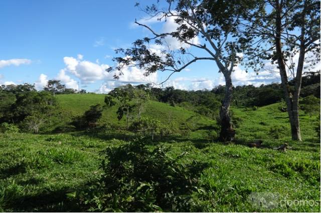 TERRENO EN YURIMAGUAS OCASION DE VENTA