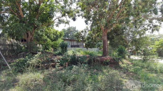 VENTA DE TERRENO EN PUCALLPA