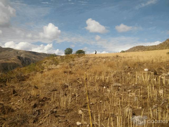 TERRENO EN VENTA EN AYACUCHO  - QUINUA