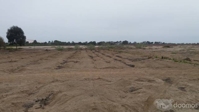 Terreno De 9.8 HA A 1 Km De Boulevard De Asia